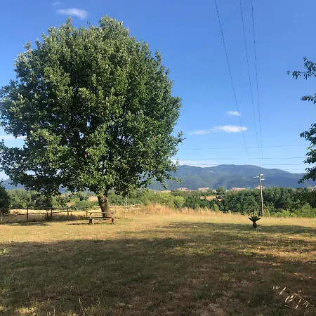 Semesterbostad Dreams Valley *