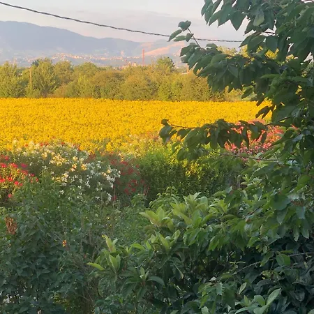 Dreams Valley Valmontone