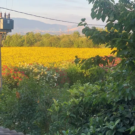 Dreams Valley * Valmontone