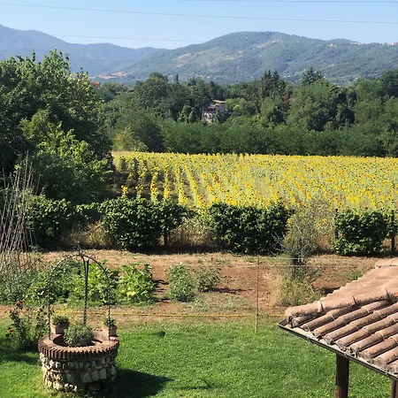 Dreams Valley Vakantiehuis