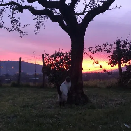 Dreams Valley Valmontone
