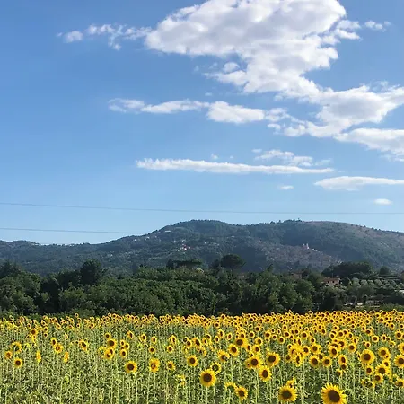 펜션 Dreams Valley *